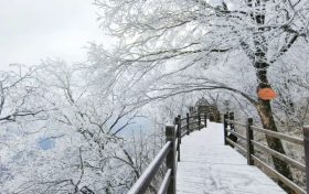 龍頭山今日又下雪啦，每一幀都是“限定浪漫”！縮略圖