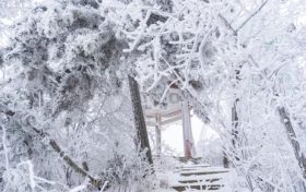 賞雪時節已至，漢江源邀您感受白色浪漫！縮略圖